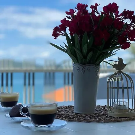 Maricic * スヴェティ・ペタル