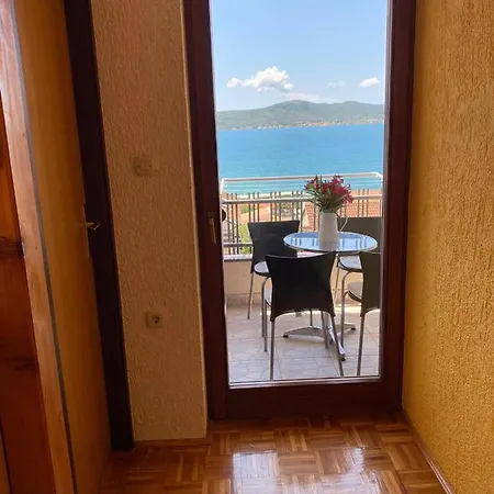 Maricic * 스베티 페타르