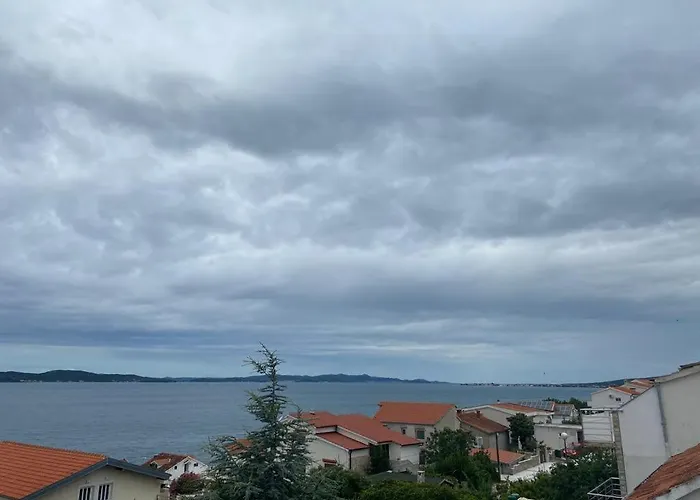 Maricic スヴェティ・ペタル